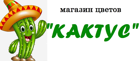 Cactus магазин. Магазин Кактус Орел. Кактус Котлас магазин. Логотип цветочного магазина с кактусом. Магазин Кактус Северодвинск.